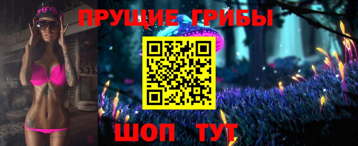 Псилоцибиновые грибы Psilocybe Йошкар-Ола