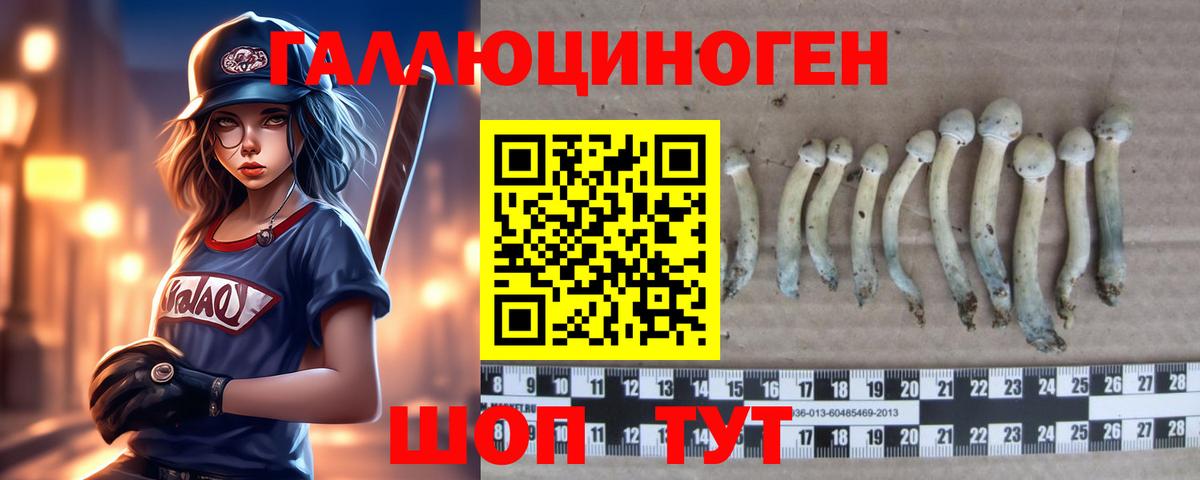 Псилоцибиновые грибы мицелий  Вход с VPN  Йошкар-Ола 